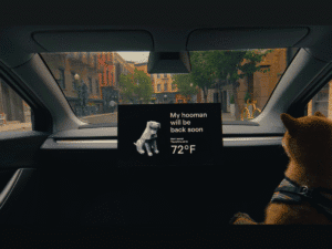 A dog sitting in a Tesla Robotaxi